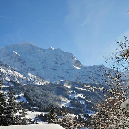 Apartment Sulegg By Interhome Wengen Exteriör bild